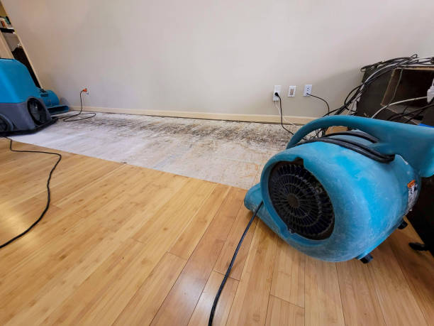 Reliable Basement Flood Cleanup contractor in Severn, MD by Hirex Water Damage
