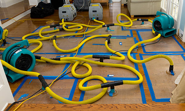 Professional Basement Flood Cleanup technician working in Severn, MD